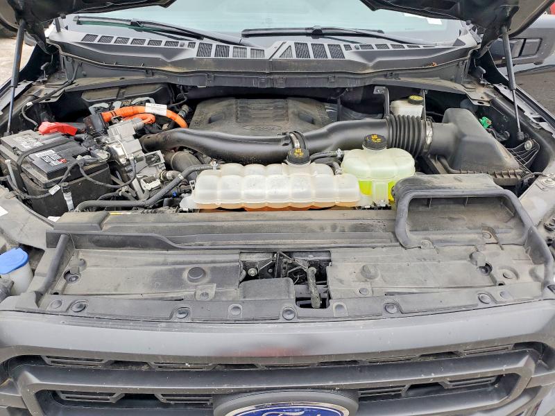 Продажа на аукционе авто 2021 Ford F150, vin: 1FTFW1ED1MFC79973, номер лота: 52611206