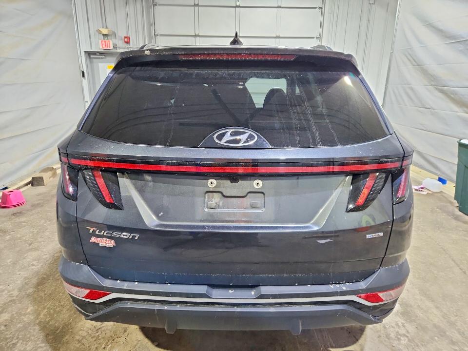 Auction sale of the 2023 Hyundai Tucson, vin: 5NMJBCAE5PH253948, lot number: 53372326