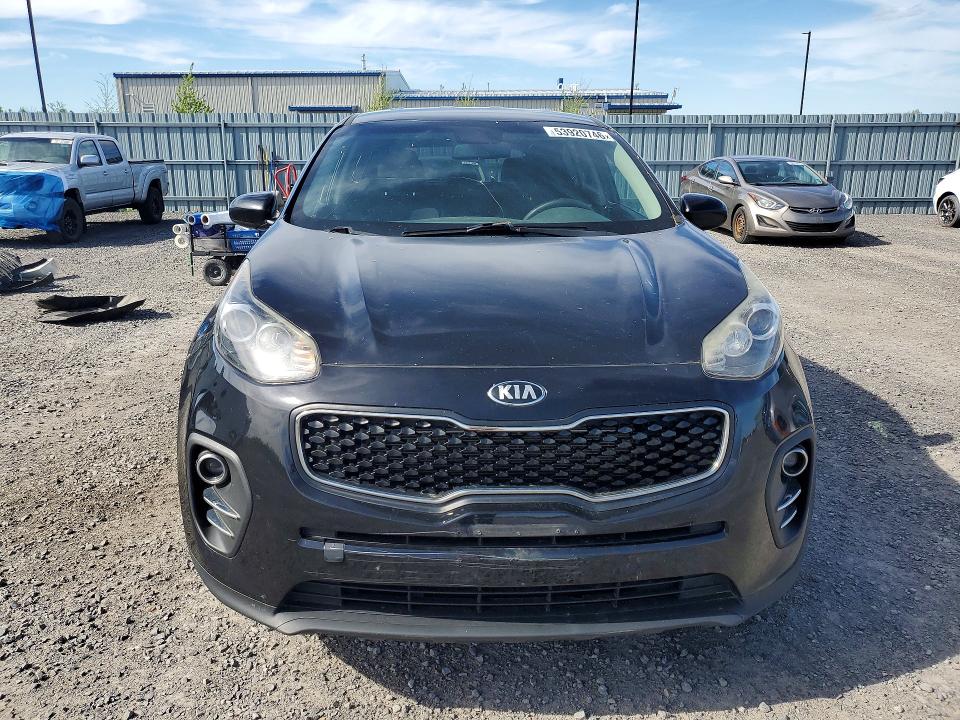 53920746 :رقم المزاد ، KNDPM3ACXK7535635 vin ، 2019 Kia Sportage مزاد بيع