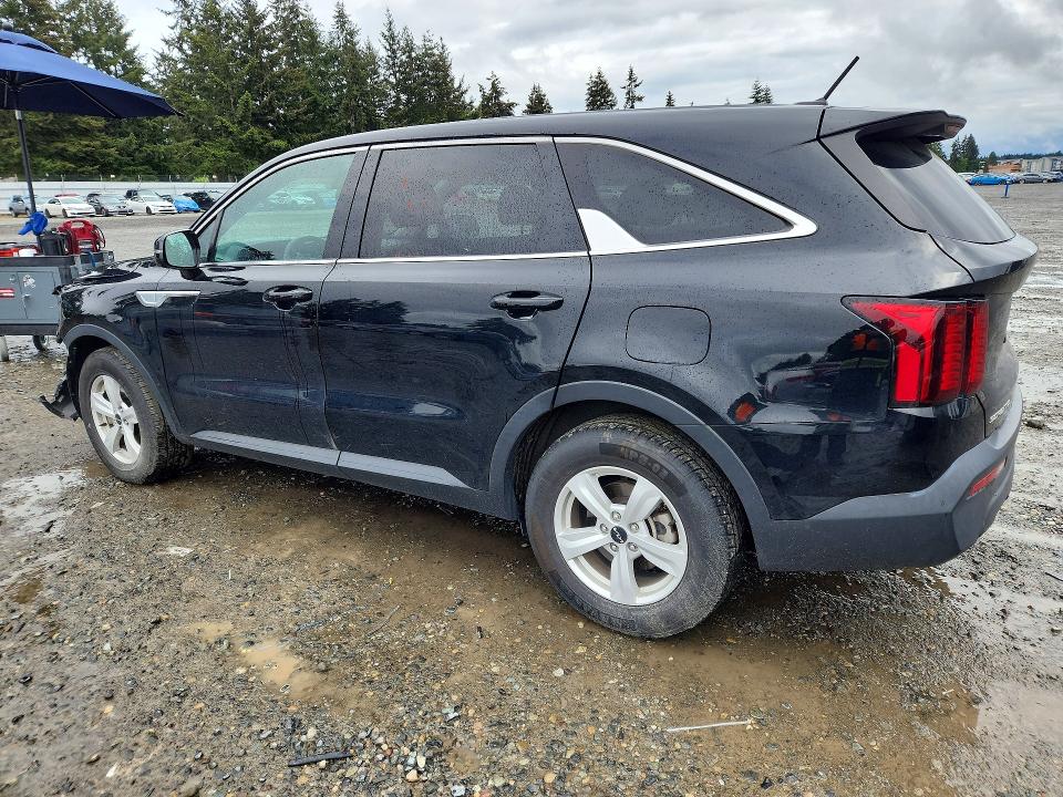 Продаж на аукціоні авто 2023 Kia Sorento, vin: 5XYRG4LC4PG201372, номер лоту: 53651776