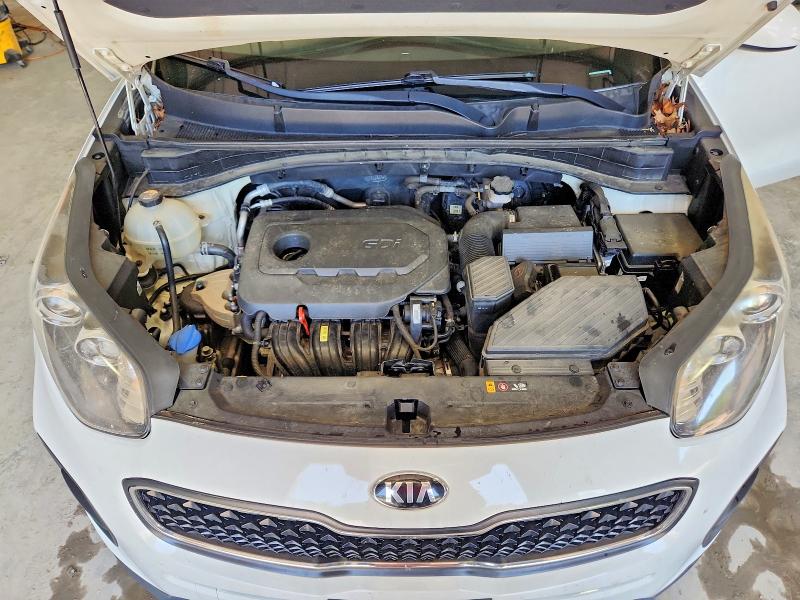55161486 :رقم المزاد ، KNDPM3ACXH7101448 vin ، 2017 Kia Sportage مزاد بيع