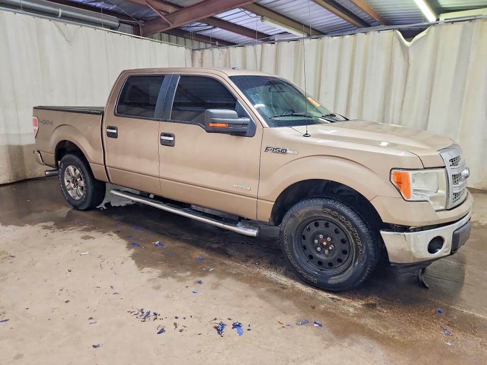 Продажа на аукционе авто 2013 Ford F150, vin: 1FTFW1ETXDKE49195, номер лота: 54999596