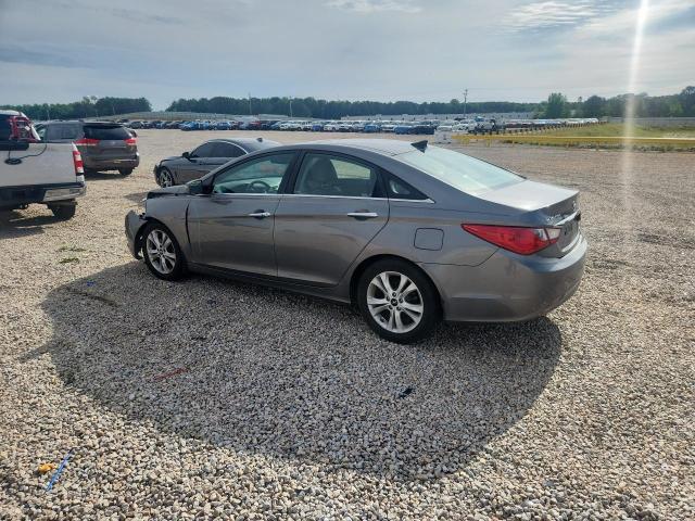 Продажа на аукционе авто 2013 Hyundai Sonata, vin: 5NPEC4AC7DH596987, номер лота: 53016656