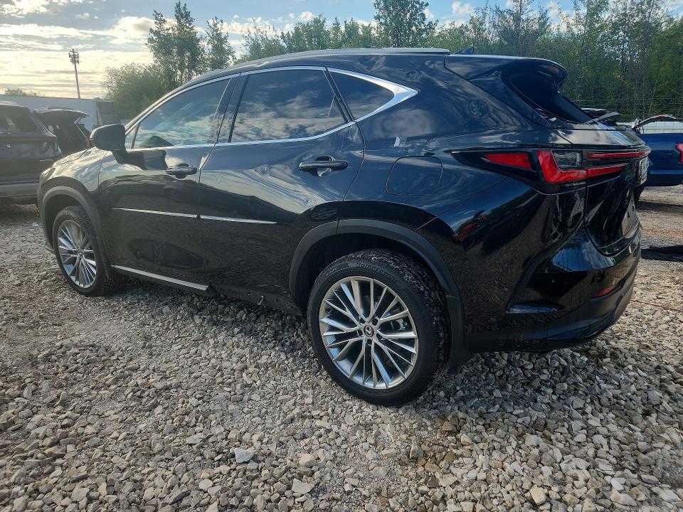 Продажа на аукционе авто 2024 Lexus Nx, vin: 2T2HGCEZ1RC033773, номер лота: 52754416