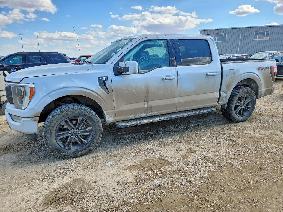 Продажа на аукционе авто 2021 Ford F150, vin: 1FTEW1EP7MKD49697, номер лота: 51872436
