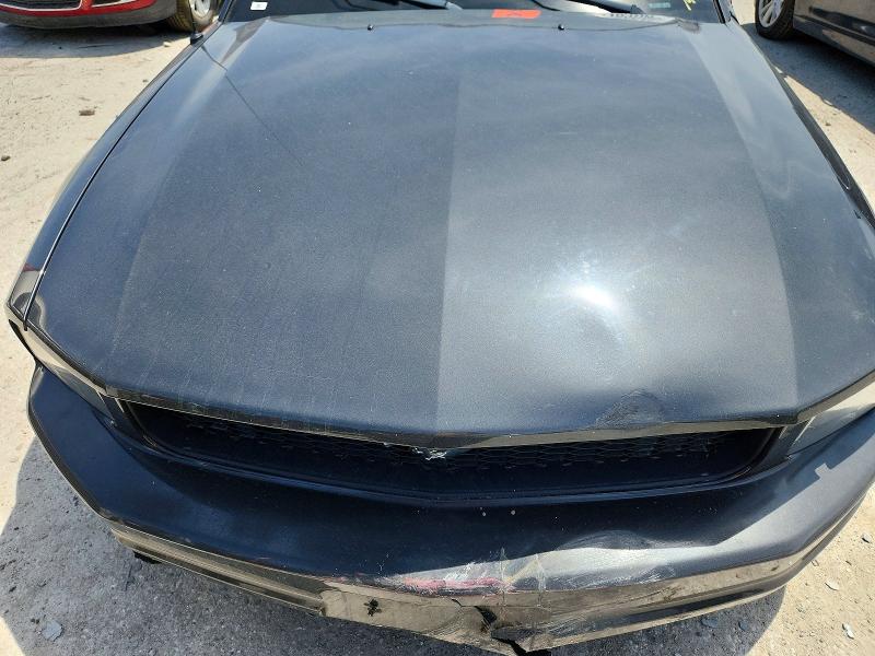 Продаж на аукціоні авто 2008 Ford Mustang, vin: 1ZVHT80N685203572, номер лоту: 55423046