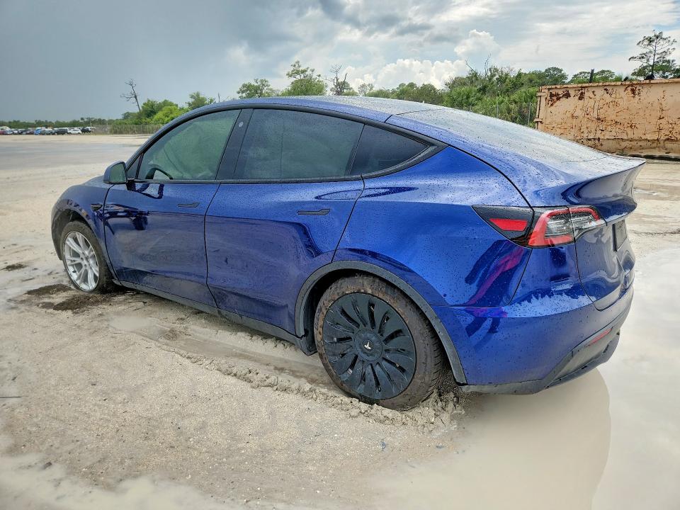 53463156 :رقم المزاد ، 5YJYGDEE6MF174379 vin ، 2021 Tesla Model Y مزاد بيع