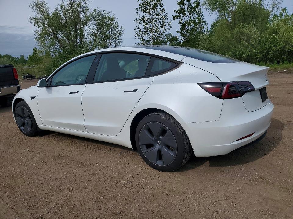 Продаж на аукціоні авто 2023 Tesla Model 3, vin: 5YJ3E1EA2PF575377, номер лоту: 54236326