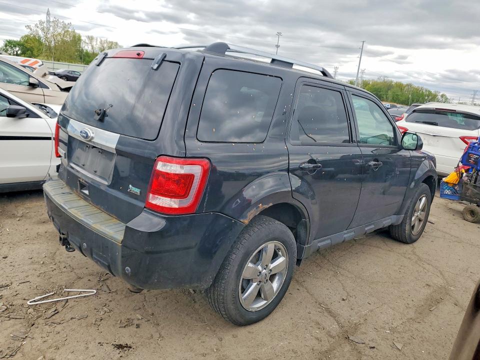 Продаж на аукціоні авто 2010 Ford Escape, vin: 1FMCU0EG0AKA55587, номер лоту: 53378806