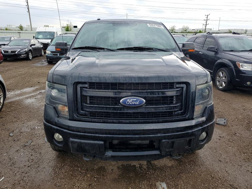 53247966 :رقم المزاد ، 1FTFW1ET7DFA32531 vin ، 2013 Ford F150 مزاد بيع
