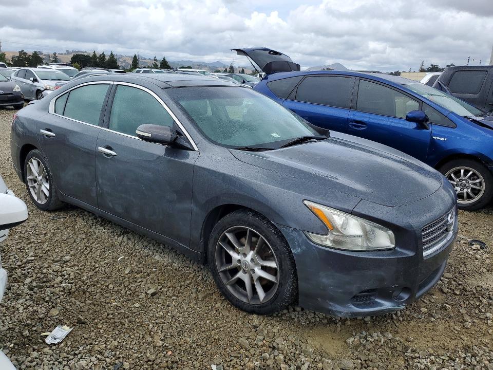Продажа на аукционе авто 2011 Nissan Maxima, vin: 1N4AA5APXBC844743, номер лота: 55223636