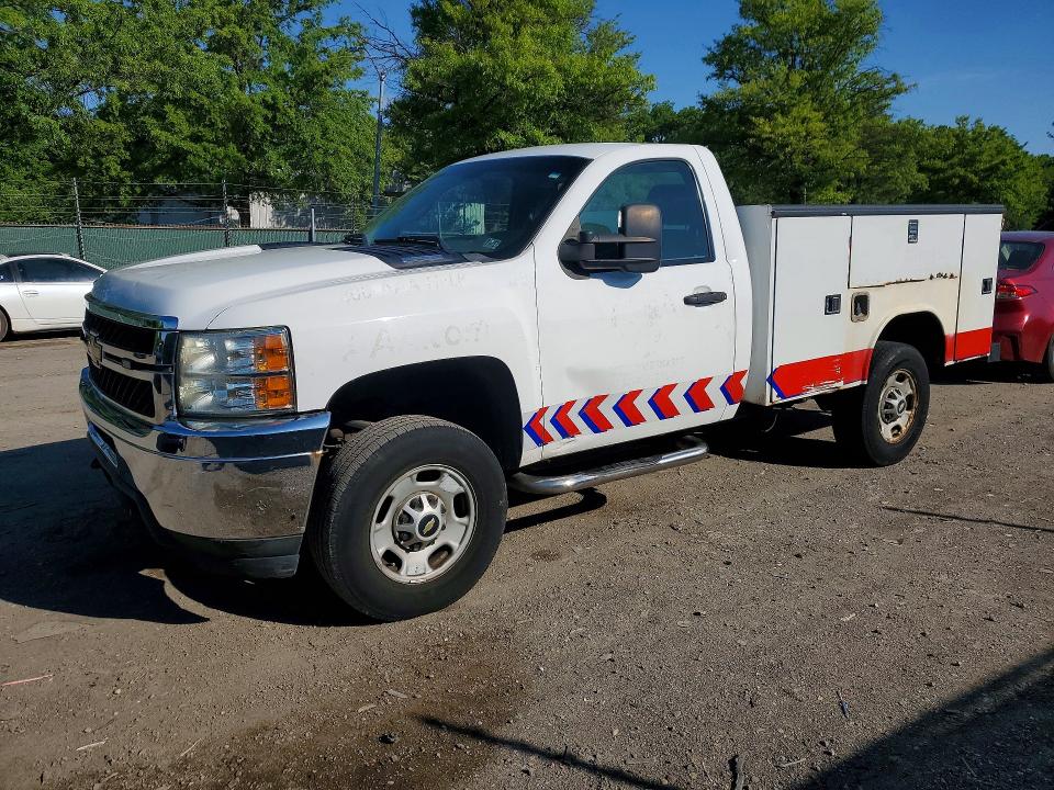 Продаж на аукціоні авто 2011 Chevrolet Silverado, vin: 1GB0CVCG7BF228319, номер лоту: 52719416