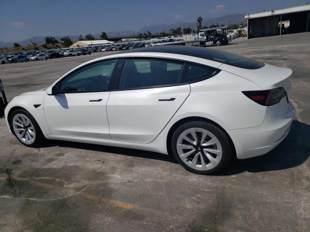 Продажа на аукционе авто 2022 Tesla Model 3, vin: 5YJ3E1EB8NF137548, номер лота: 55411903