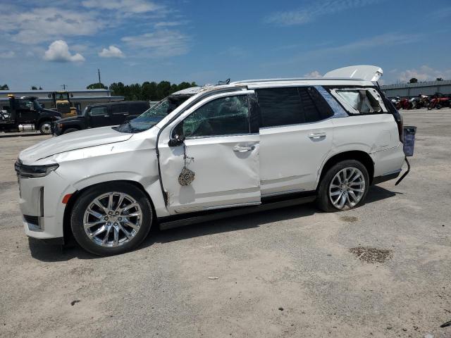 Продаж на аукціоні авто 2021 Cadillac Escalade P, vin: 1GYS4DKL4MR229188, номер лоту: 57560265