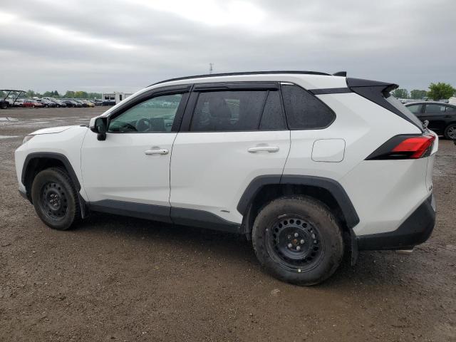 59011275 :رقم المزاد ، 2T3RWRFV6PW165165 vin ، 2023 Toyota Rav4 Xle مزاد بيع