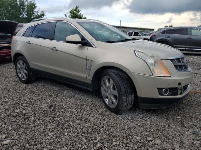 Продаж на аукціоні авто 2010 Cadillac Srx Perfor, vin: 3GYFNBEY3AS581293, номер лоту: 61227715