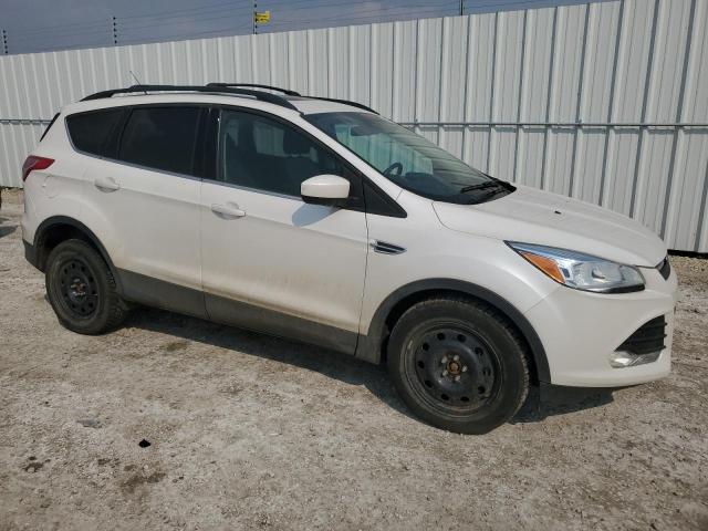 Aukcja sprzedaży 2014 Ford Escape, vin: 1FMCU9G95EUE30029, numer aukcji: 60349595