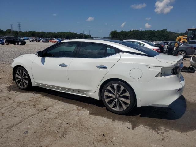 61433045 :رقم المزاد ، 1N4AA6FV4PC504802 vin ، 2023 Nissan Maxima مزاد بيع