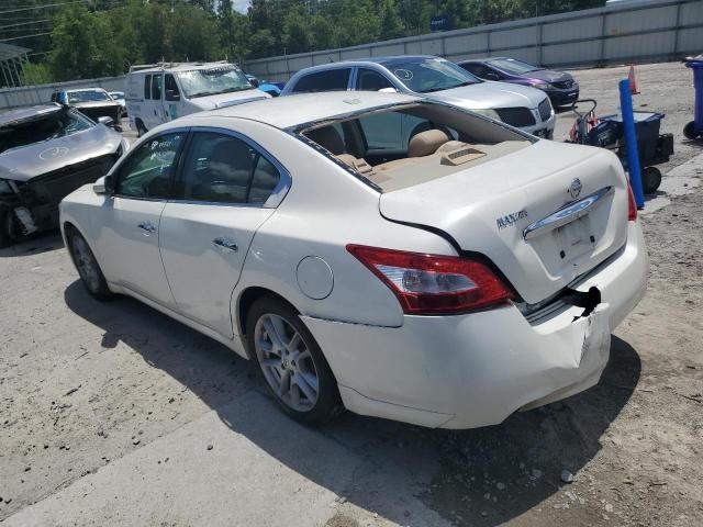 Продаж на аукціоні авто 2010 Nissan Maxima, vin: 1N4AA5AP7AC831303, номер лоту: 61471925