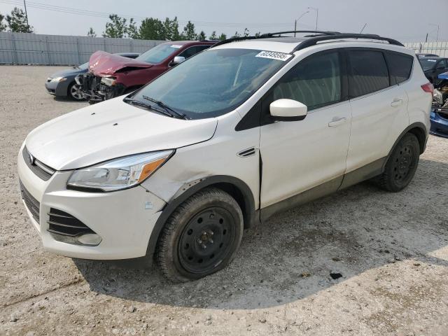Aukcja sprzedaży 2014 Ford Escape, vin: 1FMCU9G95EUE30029, numer aukcji: 60349595