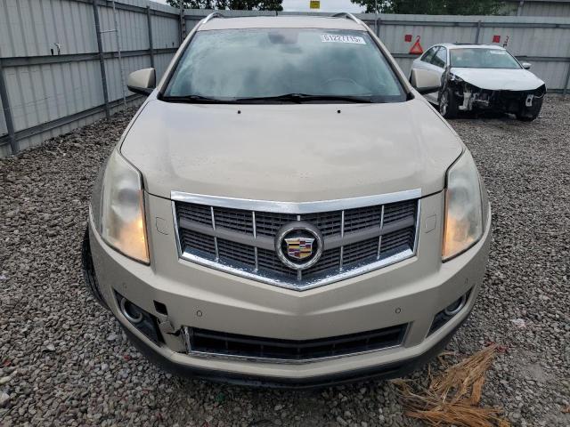 Продаж на аукціоні авто 2010 Cadillac Srx Perfor, vin: 3GYFNBEY3AS581293, номер лоту: 61227715