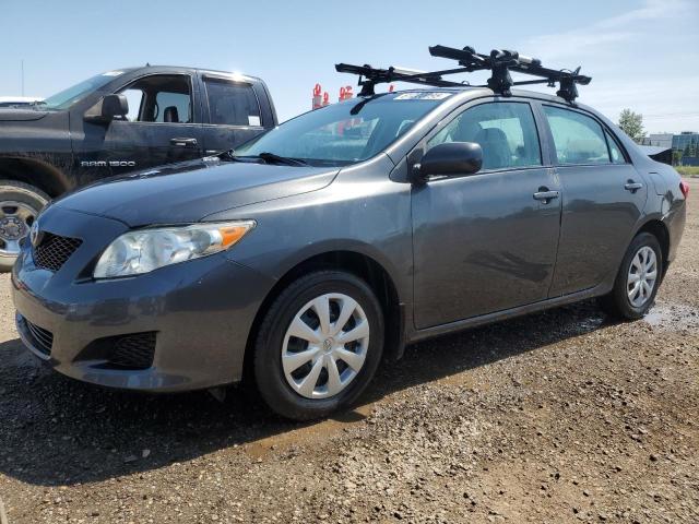 61220095 :رقم المزاد ، 2T1BU4EE4AC469611 vin ، 2010 Toyota Corolla مزاد بيع