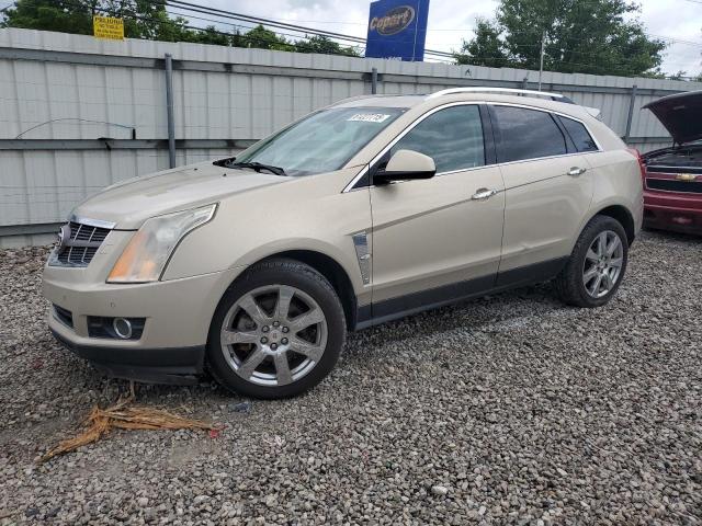 Продаж на аукціоні авто 2010 Cadillac Srx Perfor, vin: 3GYFNBEY3AS581293, номер лоту: 61227715