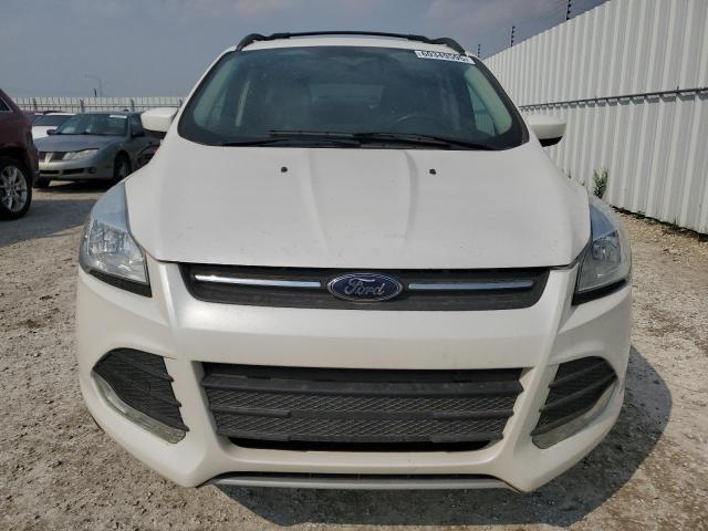 Aukcja sprzedaży 2014 Ford Escape, vin: 1FMCU9G95EUE30029, numer aukcji: 60349595