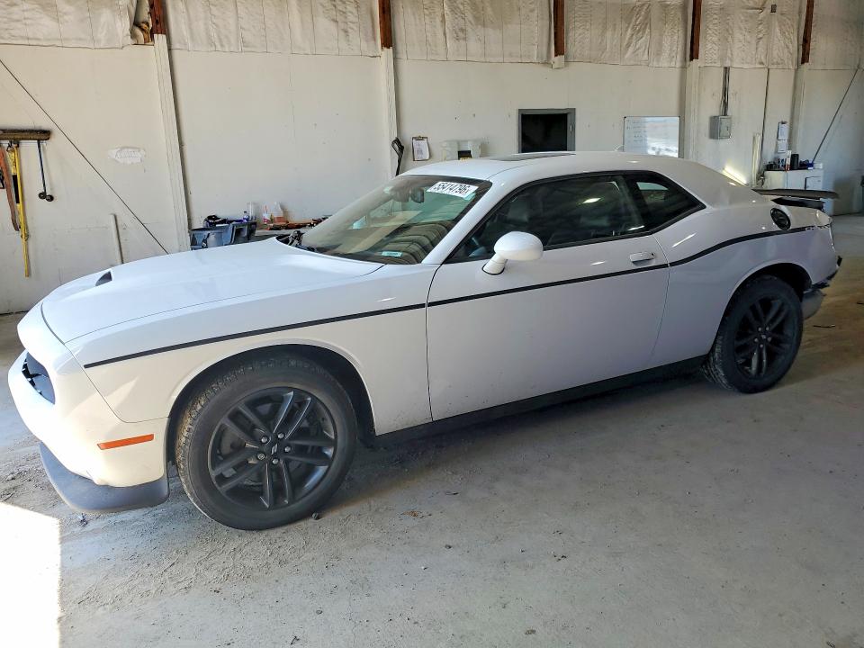 55414796 :رقم المزاد ، 2C3CDZKG9KH558125 vin ، 2019 Dodge Challenger مزاد بيع
