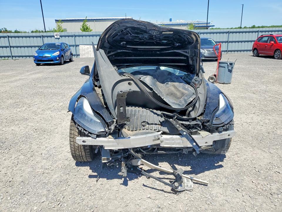 55957436 :رقم المزاد ، 5YJ3E1EB1PF416505 vin ، 2023 Tesla Model 3 مزاد بيع