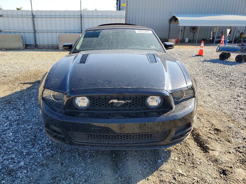 Продаж на аукціоні авто 2014 Ford Mustang, vin: 1ZVBP8FF7E5315660, номер лоту: 55635996