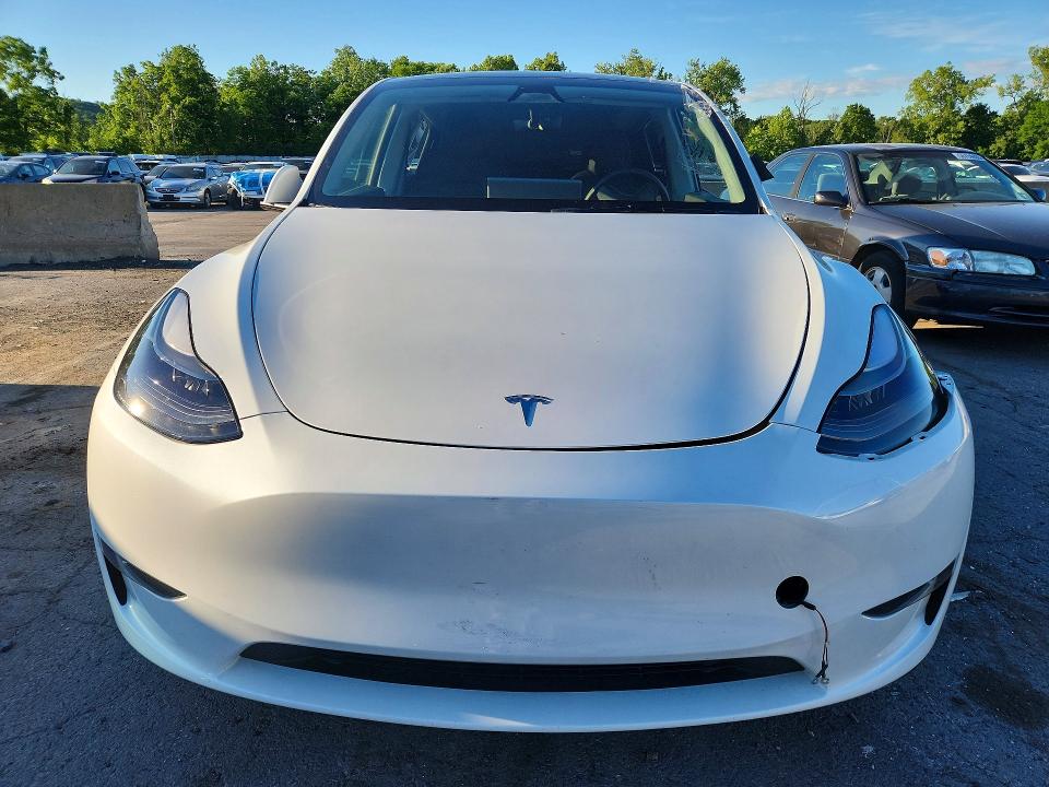 Продажа на аукционе авто 2023 Tesla Model Y, vin: 7SAYGDEE1PA202285, номер лота: 57136066