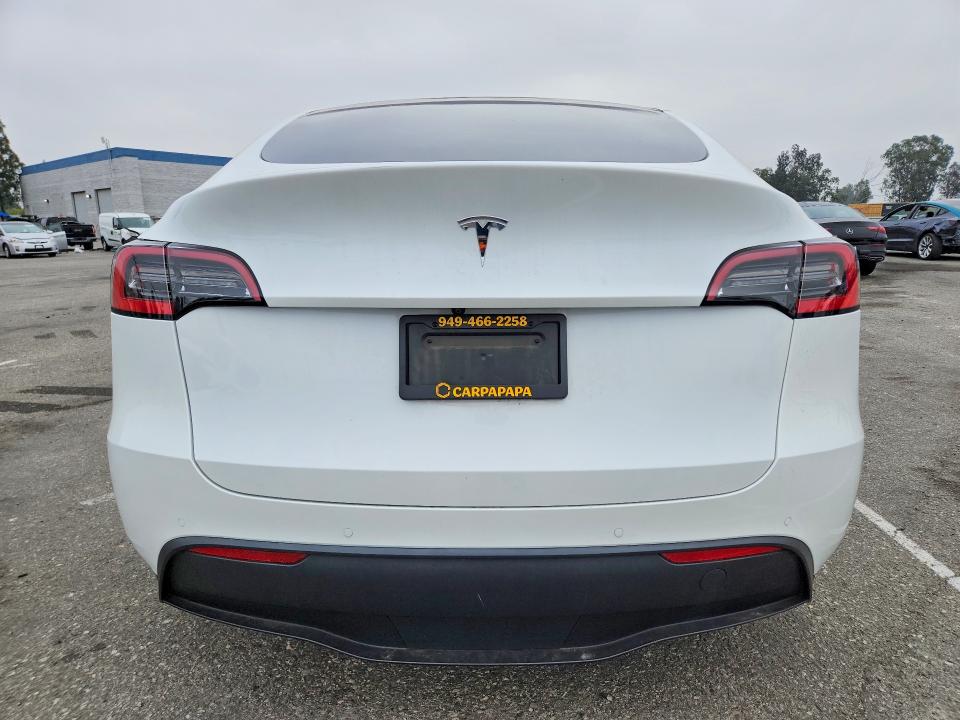 55805276 :رقم المزاد ، 5YJYGDED7MF125909 vin ، 2021 Tesla Model Y مزاد بيع
