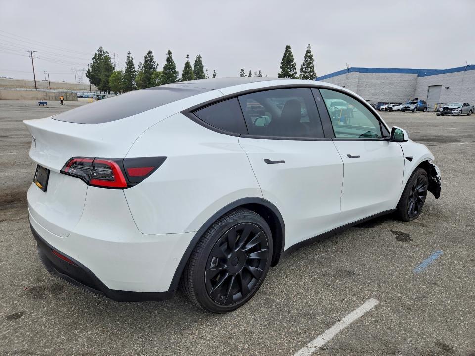 55805276 :رقم المزاد ، 5YJYGDED7MF125909 vin ، 2021 Tesla Model Y مزاد بيع