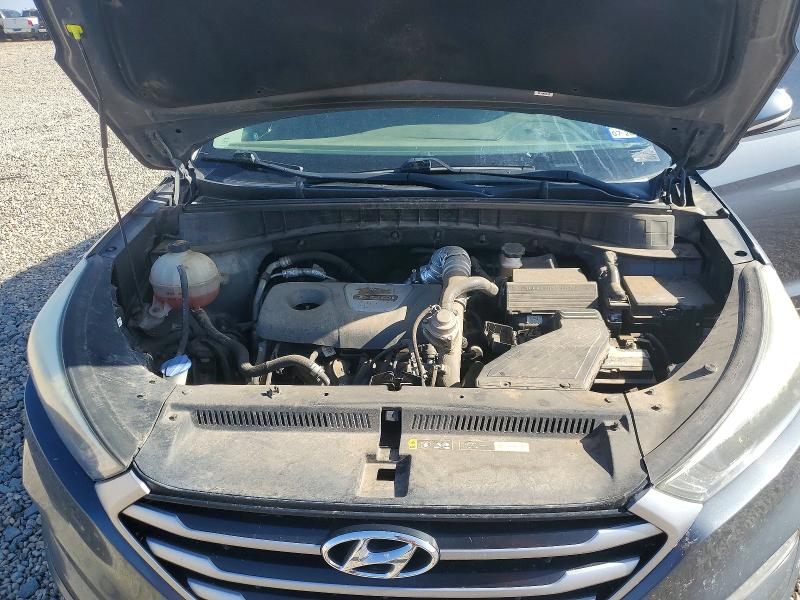 Продажа на аукционе авто 2017 Hyundai Tucson, vin: KM8J3CA25HU531224, номер лота: 55779036