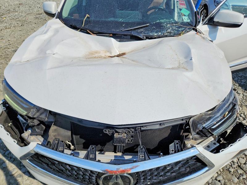 2023 Acura Rdx მანქანა იყიდება აუქციონზე, vin: 5J8TC2H5XPL011436, აუქციონის ნომერი: 56956606