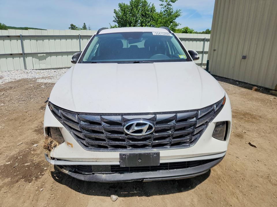 Продажа на аукционе авто 2024 Hyundai Tucson, vin: 5NMJBCDE1RH297184, номер лота: 55415266