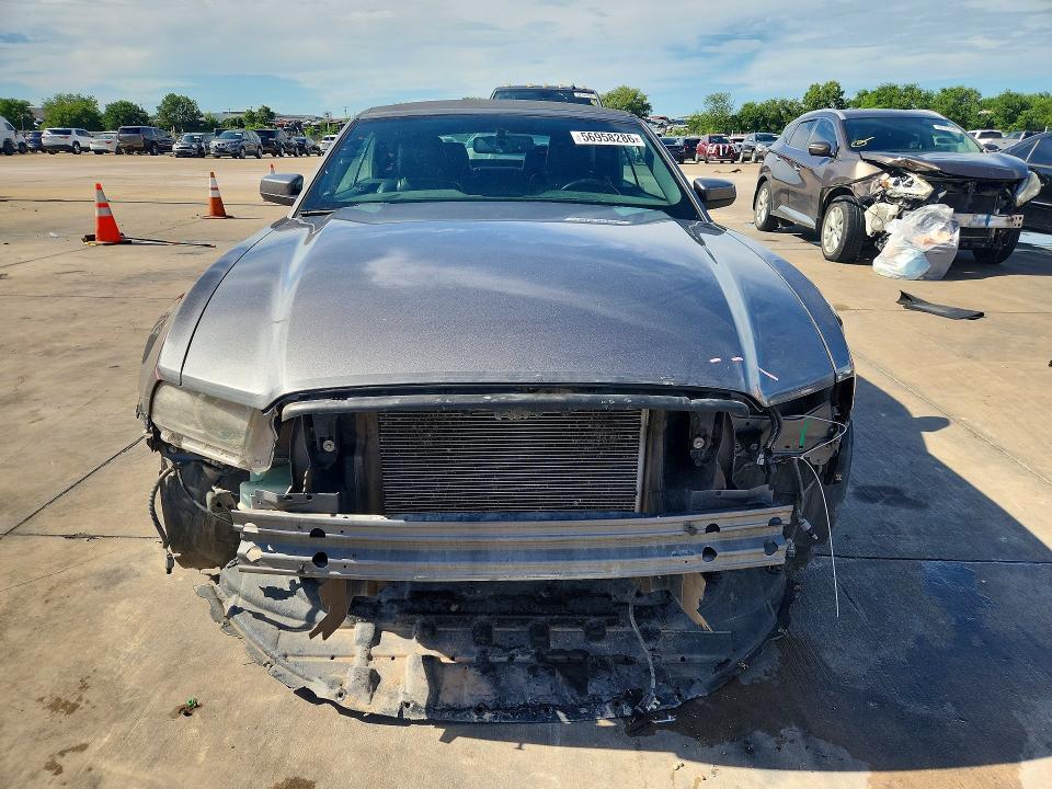 Aukcja sprzedaży 2013 Ford Mustang, vin: 1ZVBP8EM0D5275159, numer aukcji: 56958286