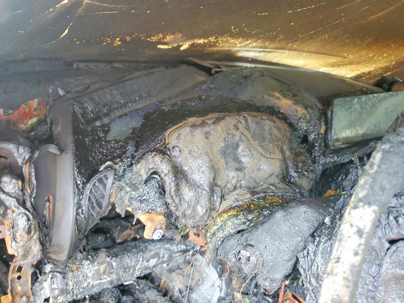 Aukcja sprzedaży 2016 Bmw 228, vin: WBA1K9C57GV321666, numer aukcji: 56671506