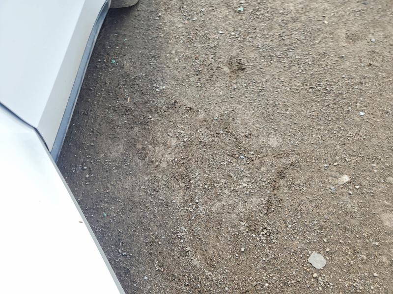 2025 Ford Maverick მანქანა იყიდება აუქციონზე, vin: 3FTTW8A31SRA41016, აუქციონის ნომერი: 77524285