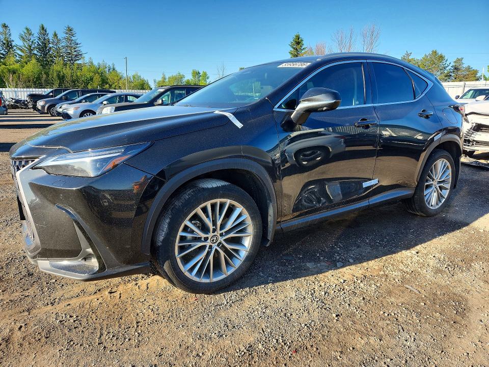 Продажа на аукционе авто 2025 Lexus Nx, vin: 2T2GGCEZ1SC063860, номер лота: 55956786