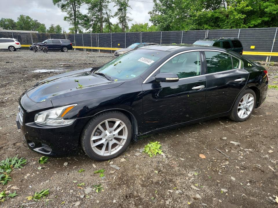 57899846 :رقم المزاد ، 1N4AA5AP0AC831546 vin ، 2010 Nissan Maxima مزاد بيع