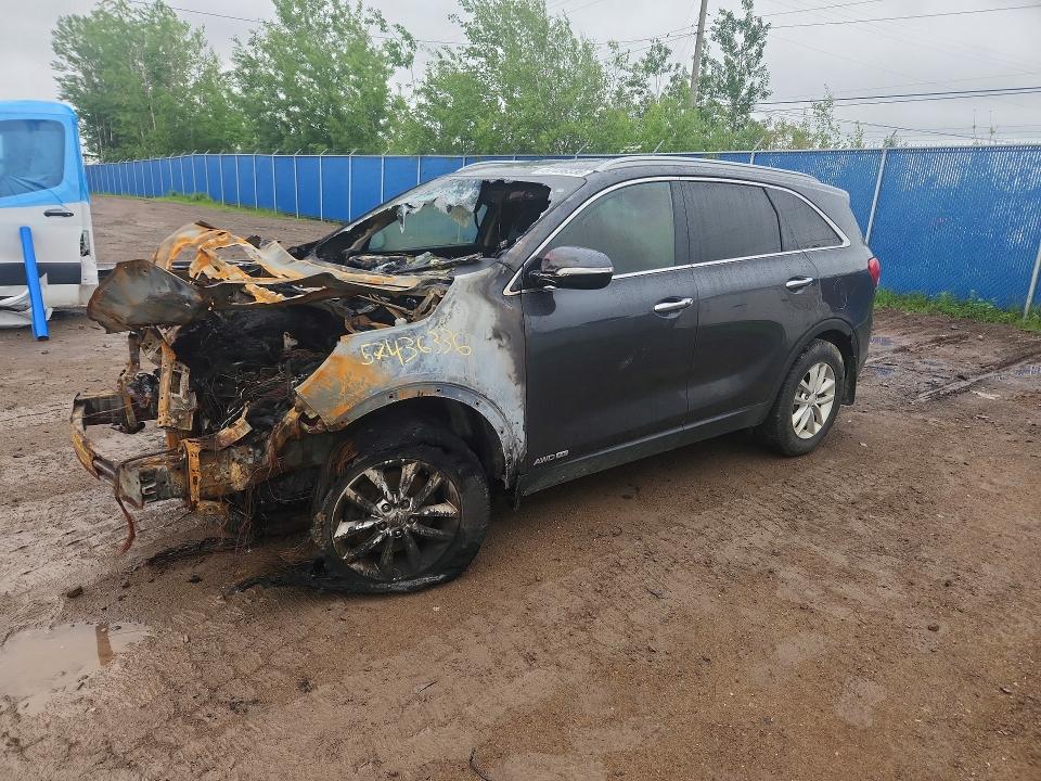 Auction sale of the 2017 Kia Sorento, vin: 5XYPGDA5XHG199768, lot number: 57436336