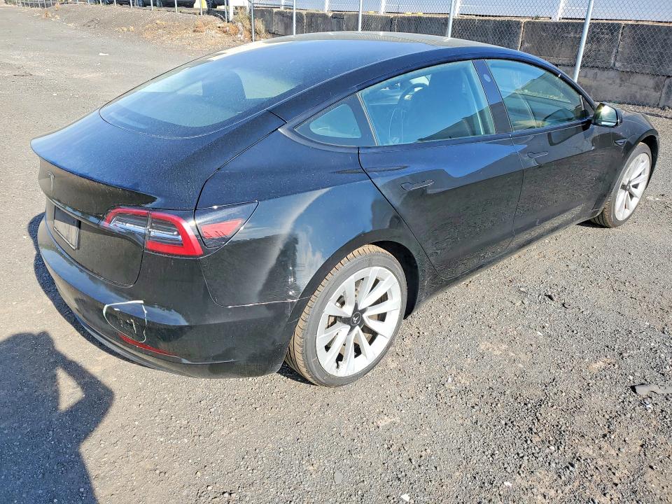 Продаж на аукціоні авто 2023 Tesla Model 3, vin: 5YJ3E1EA1PF451729, номер лоту: 56251456