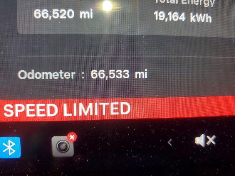 Продаж на аукціоні авто 2023 Tesla Model Y, vin: 7SAYGDEE3PF893001, номер лоту: 55177686
