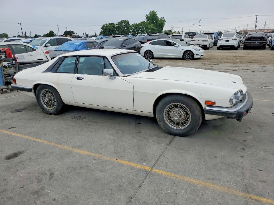 Aukcja sprzedaży 1984 Jaguar Xjs, vin: SAJNV5842EC113497, numer aukcji: 56279856