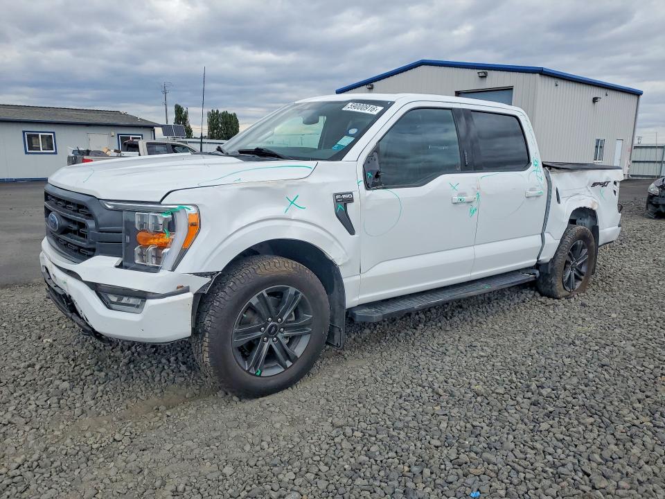 59000916 :رقم المزاد ، 1FTEW1EP3MFB81646 vin ، 2021 Ford F150 مزاد بيع