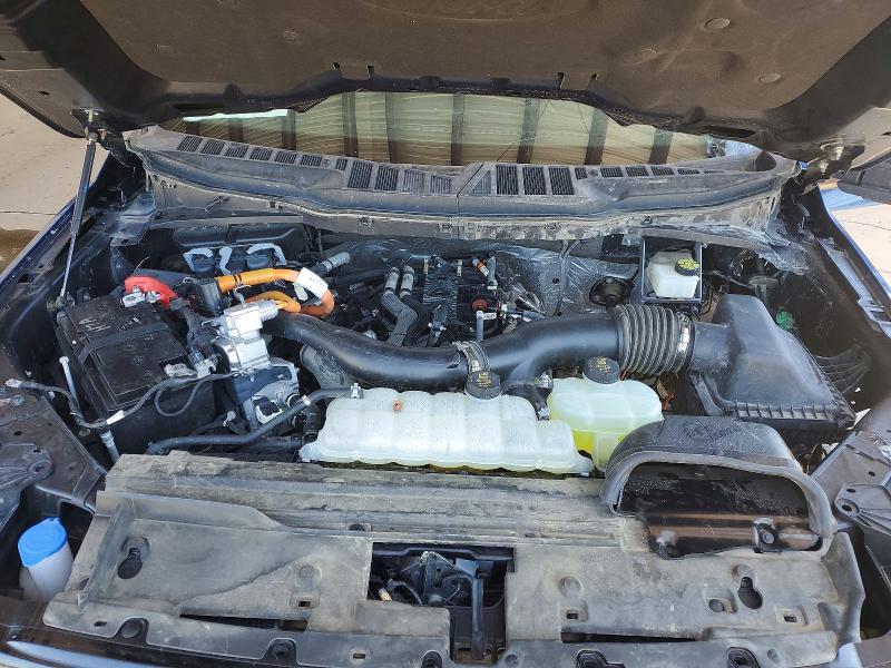 Продажа на аукционе авто 2024 Ford F150, vin: 1FTFW3LD0RFA73405, номер лота: 56312566