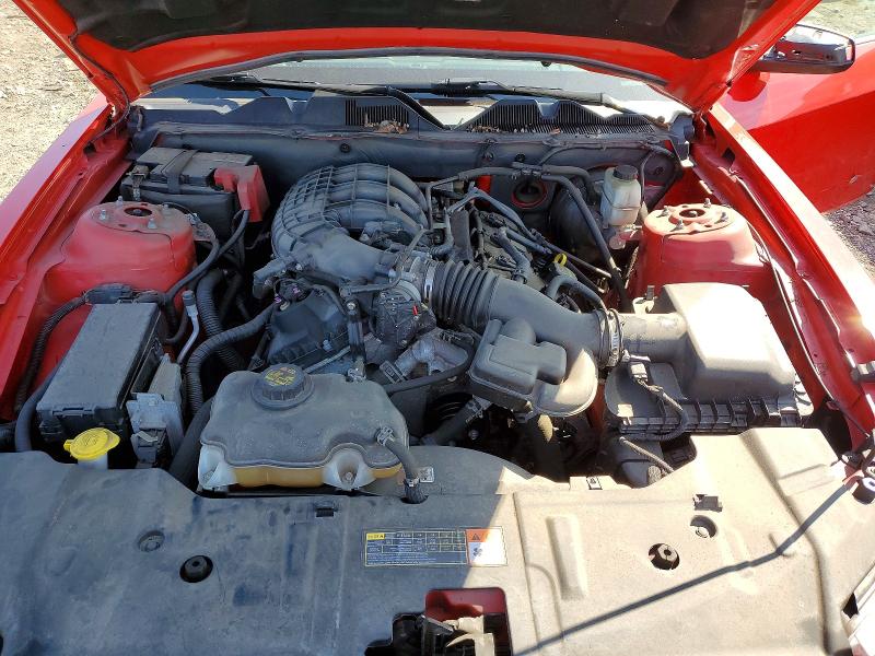 Продаж на аукціоні авто 2014 Ford Mustang, vin: 1ZVBP8AMXE5249496, номер лоту: 55429016