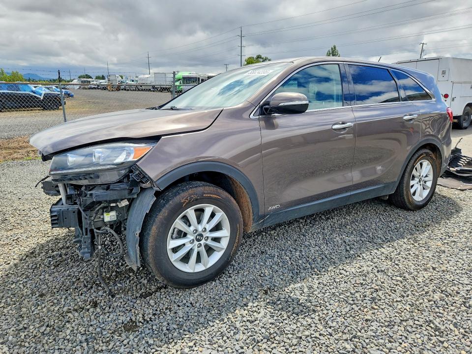 55624396 :رقم المزاد ، 5XYPGDA55KG567880 vin ، 2019 Kia Sorento مزاد بيع